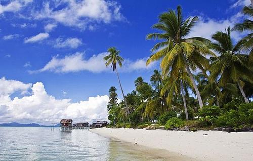 2020年去马来西亚留学,学校你得这样选(图1) 2020年去马来西亚留学,学校你得这样选(图1)